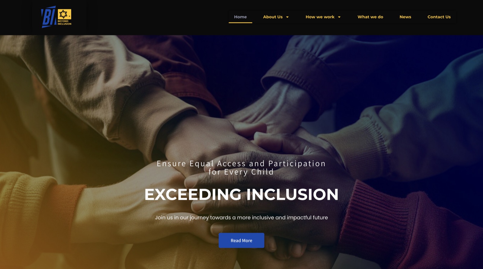 Beyond Inclusion (BI) Website Launch!